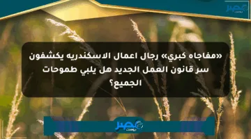 «مفاجأة كبرى» رجال أعمال الإسكندرية يكشفون سر قانون العمل الجديد هل يلبي طموحات الجميع؟